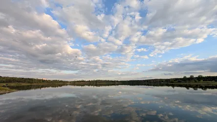 Foto aus Heidenau vom 12. September 2026