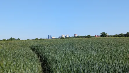 Foto aus Pirna vom 23. Mai 2026