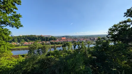 Foto aus Pirna vom 23. Mai 2026