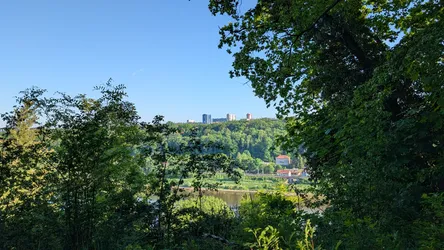 Foto aus Pirna vom 23. Mai 2026