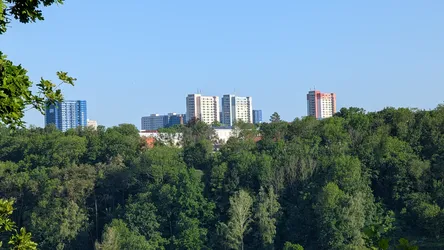 Foto aus Pirna vom 23. Mai 2026