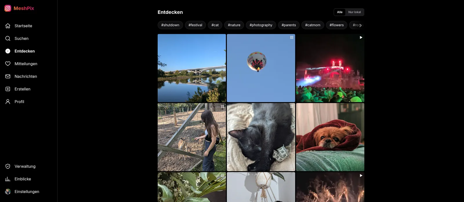 MeshPix-Entdecken-Seite mit Hashtag-Leiste und Fotoraster