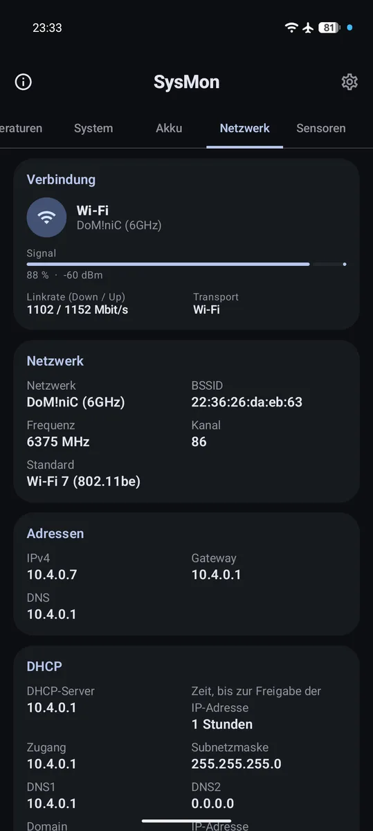 Netzwerk-Tab mit WLAN-Verbindung, Adressen und DHCP